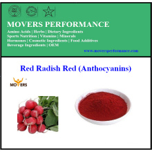 Aliments et boissons Pigment naturel Radis rouge Rouge